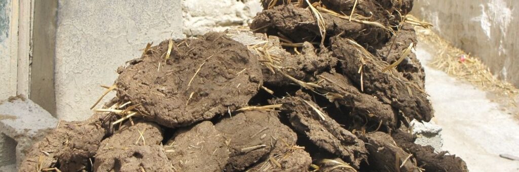 Karbon Dengeli Promosyon: Pazarlama Stratejisine Doğa Dostu Yaklaşım