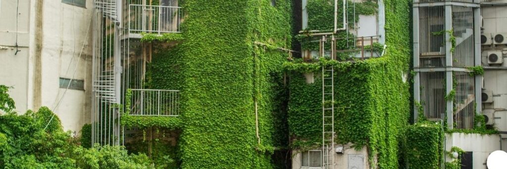 Eko Ambalaj Çözümleri