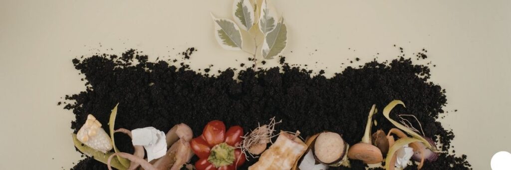 Kompost Promosyon Seçenekleri